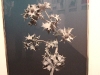 photola-22.jpg