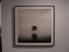 photola-30.jpg