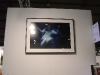 photola-37.jpg